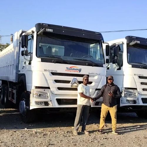 Dois amigos do Congo visitaram o nosso parque de camiões e decidiram comprar 2 camiões HOWO 371 brancos.